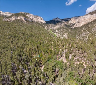 The 4200 (+/-) Sq. Ft. 3 Bedroom Cabin is situated on one of the - photo 45