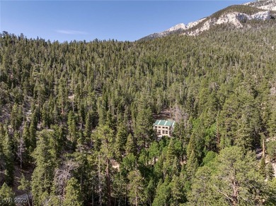 The 4200 (+/-) Sq. Ft. 3 Bedroom Cabin is situated on one of the - photo 46
