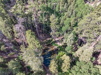 The 4200 (+/-) Sq. Ft. 3 Bedroom Cabin is situated on one of the - photo 47