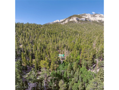 The 4200 (+/-) Sq. Ft. 3 Bedroom Cabin is situated on one of the - photo 48