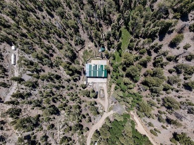 The 4200 (+/-) Sq. Ft. 3 Bedroom Cabin is situated on one of the - photo 49