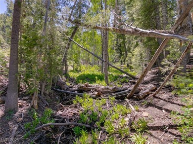 The 4200 (+/-) Sq. Ft. 3 Bedroom Cabin is situated on one of the - photo 50