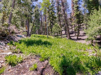 The 4200 (+/-) Sq. Ft. 3 Bedroom Cabin is situated on one of the - photo 51