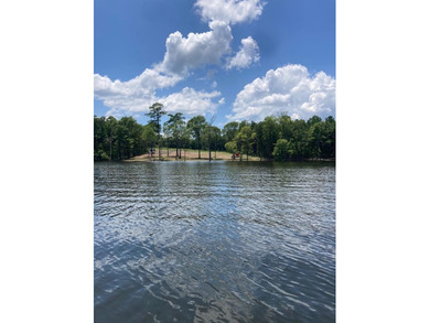 Located in the restricted neighborhood of Eagles Landing off FM - photo 1