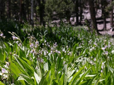 The 4200 (+/-) Sq. Ft. 3 Bedroom Cabin is situated on one of the - photo 52