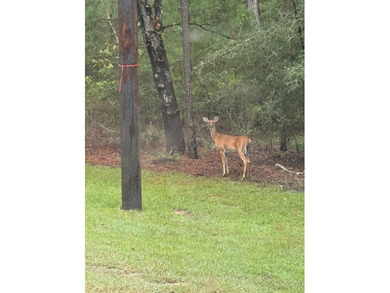 Located in the restricted neighborhood of Eagles Landing off FM - photo 2