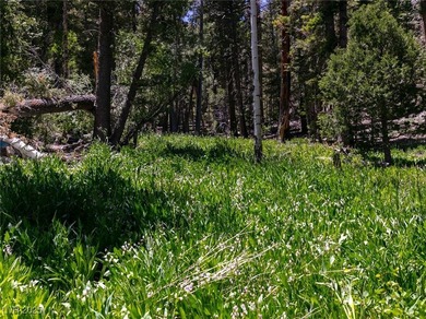 The 4200 (+/-) Sq. Ft. 3 Bedroom Cabin is situated on one of the - photo 53