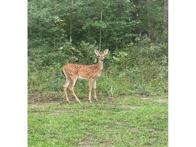 Located in the restricted neighborhood of Eagles Landing off FM - photo 3