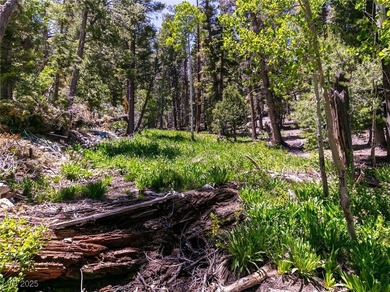 The 4200 (+/-) Sq. Ft. 3 Bedroom Cabin is situated on one of the - photo 55