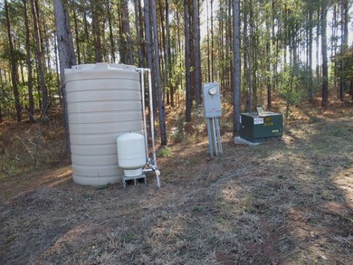 Located in the restricted neighborhood of Eagles Landing off FM - photo 9