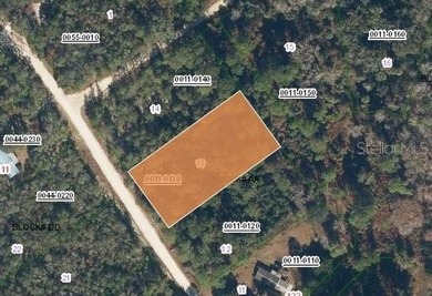 Lake George Lot For Sale in Georgetown Florida