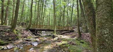 Picture perfect land on the creek. This lot consists of 3 - photo 2