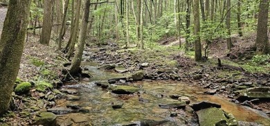 Picture perfect land on the creek. This lot consists of 3 - photo 3
