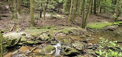 Picture perfect land on the creek. This lot consists of 3 - photo 4