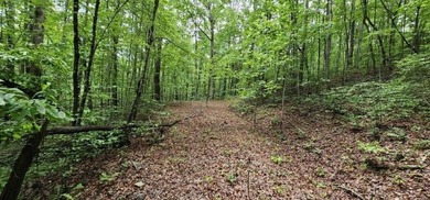 Picture perfect land on the creek. This lot consists of 3 - photo 5