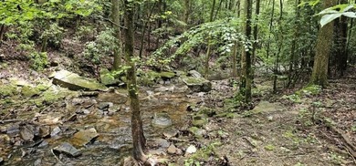 Picture perfect land on the creek. This lot consists of 3 - photo 6
