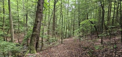 Picture perfect land on the creek. This lot consists of 3 - photo 7