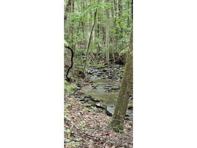 Picture perfect land on the creek. This lot consists of 3 - photo 8