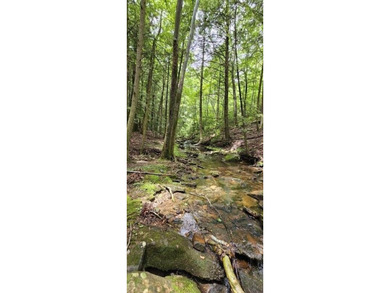 Picture perfect land on the creek. This lot consists of 3 - photo 9