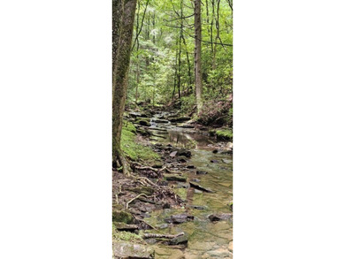 Picture perfect land on the creek. This lot consists of 3 - photo 10