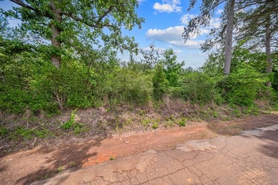 Nestled conveniently on CR 779 and a part of the Lake - photo 2