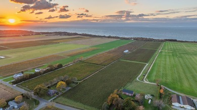 5+ acres of pristine waterfront along the beach of Long Island - photo 3