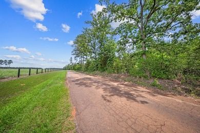Nestled conveniently on CR 779 and a part of the Lake - photo 9