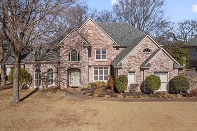 (private lake, pond, creek) Home For Sale in Memphis Tennessee