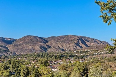 Enjoy stunning panoramic views and privacy in this premier lot - photo 12