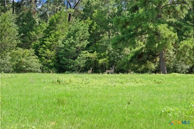 Step into a world of untouched beauty and boundless potential - photo 2