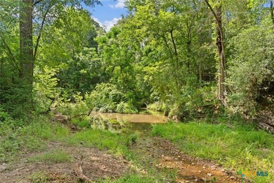 Step into a world of untouched beauty and boundless potential - photo 4