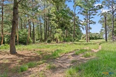 Step into a world of untouched beauty and boundless potential - photo 5