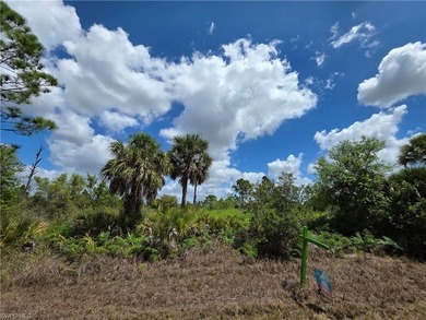 Build your dream home on this 10,000 sq ft homesite ideally - photo 2
