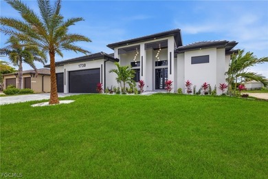 Welcome to this spectacular newly built house, were modern - photo 3