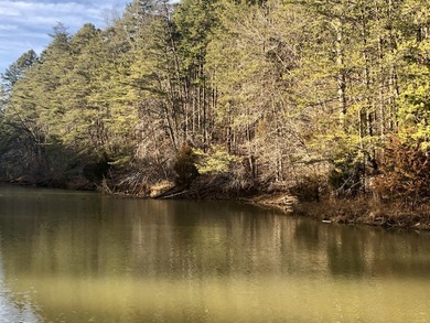 Welcome to Leesville Lake, Central Virginia's hidden gem! This 0 - photo 5