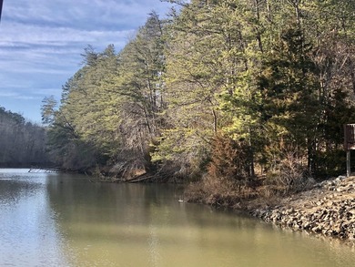 Welcome to Leesville Lake, Central Virginia's hidden gem! This 0 - photo 6