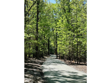 Don't miss the opportunity to custom build on a large, wooded - photo 2