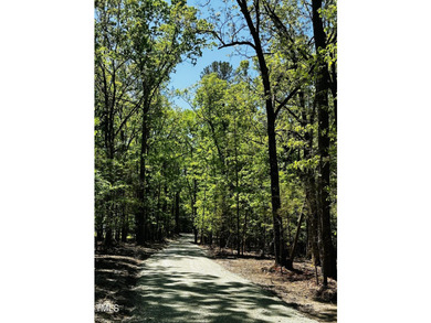 Don't miss the opportunity to custom build on a large, wooded - photo 4