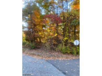 Barry Lakes Lot For Sale in Vernon Twp. New Jersey