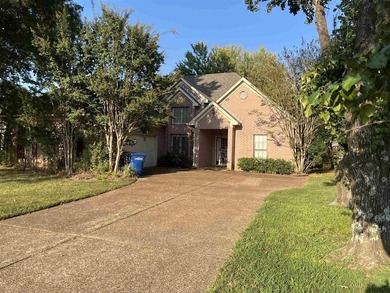 Garner Lake Home For Sale in Lakeland Tennessee