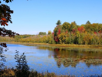 (private lake, pond, creek) Acreage Sale Pending in Mercer Wisconsin