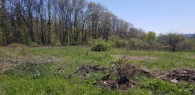 (private lake, pond, coastal) Acreage Sale Pending in Towanda Pennsylvania