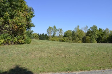 Presenting the 119 buildable lots available off scenic Lake - photo 7