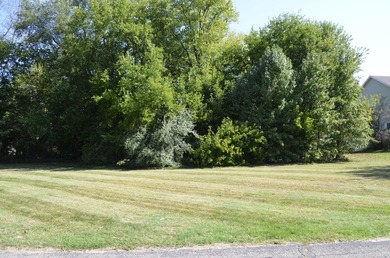 Presenting the 119 buildable lots available off scenic Lake - photo 8