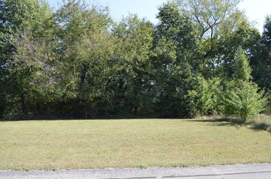 Presenting the 119 buildable lots available off scenic Lake - photo 9