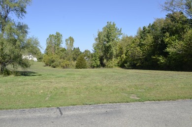 Presenting the 119 buildable lots available off scenic Lake - photo 10