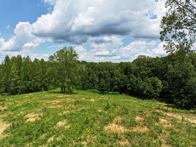 Lot 15-16 (7.134 acres) allows for stick-built homes and new - photo 4