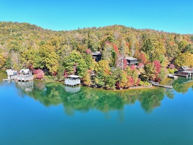 Lake Home For Sale in Clarkesville, Georgia