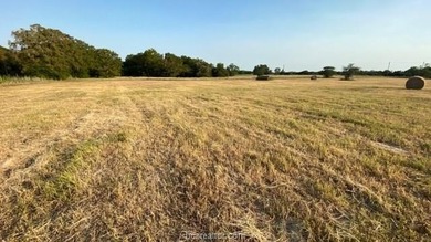 Lake Commercial For Sale in Somerville, Texas