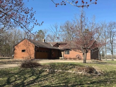 Lake Home For Sale in Arago Twp, Minnesota